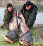 Waller Doppelpack.jpg