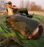 DSC_4528 zugeschnittenforum.jpg