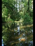 Test - Teich.jpg