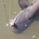 Kopie von P1057_20-05-11.jpg