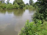 DSCI0249.jpg