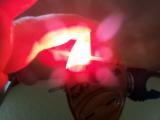K1600_20130319_082604.jpg