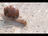 DSC_1589.jpg
