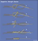 doppelter Albright.jpg