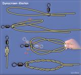 Dynacrown Knoten (Katzenkralle).jpg