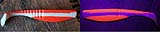 Austria.jpg