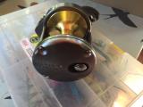 IMG-20160504-WA0004.jpg