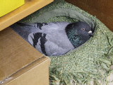 Testphotos 0342.jpg