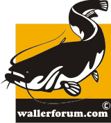 Wallerforum ...Das Diskussionsboard
