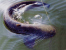 images/avatars/avatar-3035.jpg