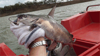 images/avatars/avatar-4140.gif